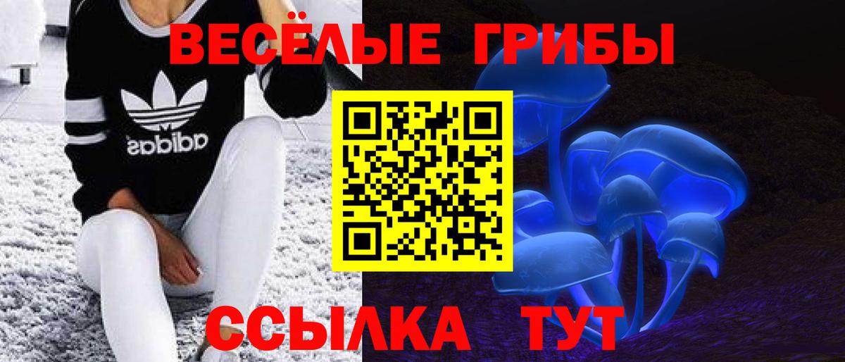 Галлюциногенные грибы MAGIC MUSHROOMS Кашира