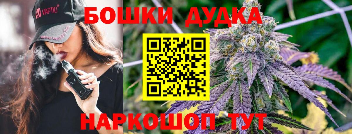 Шишки марихуана план  Конопля тримм  Кашира  Бошки Шишки планчик  Вход с VPN 